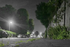Night photo of street with green foliage